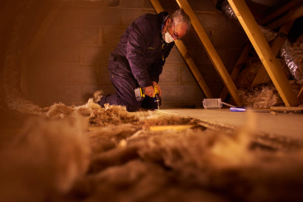 Best Eco-Friendly or Green Insulation Solutions  in Kearny, AZ